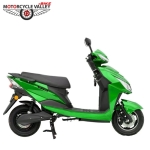 Green Tiger JR (Lite)-Falcon-1-1673343307.jpg